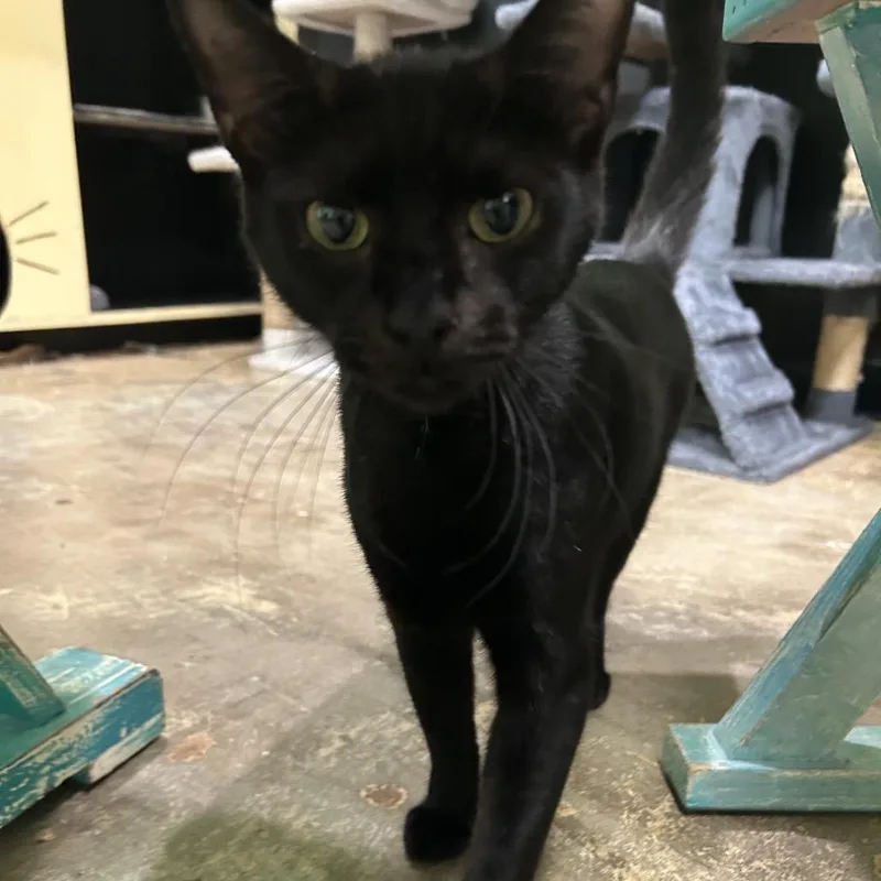 Radiohead thumbnail 2