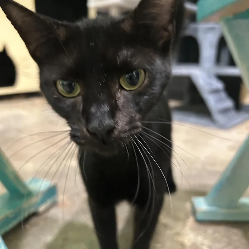 Radiohead thumbnail 3