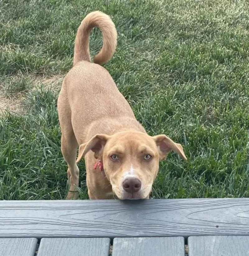 Laney  Whouse thumbnail 2