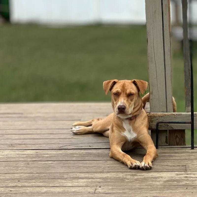 Laney  Whouse thumbnail 3