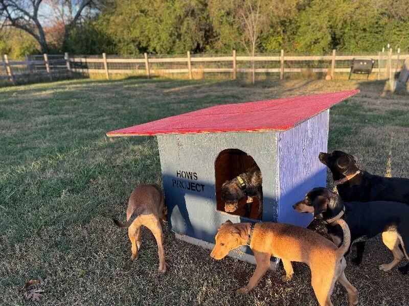 Laney  Whouse thumbnail 4