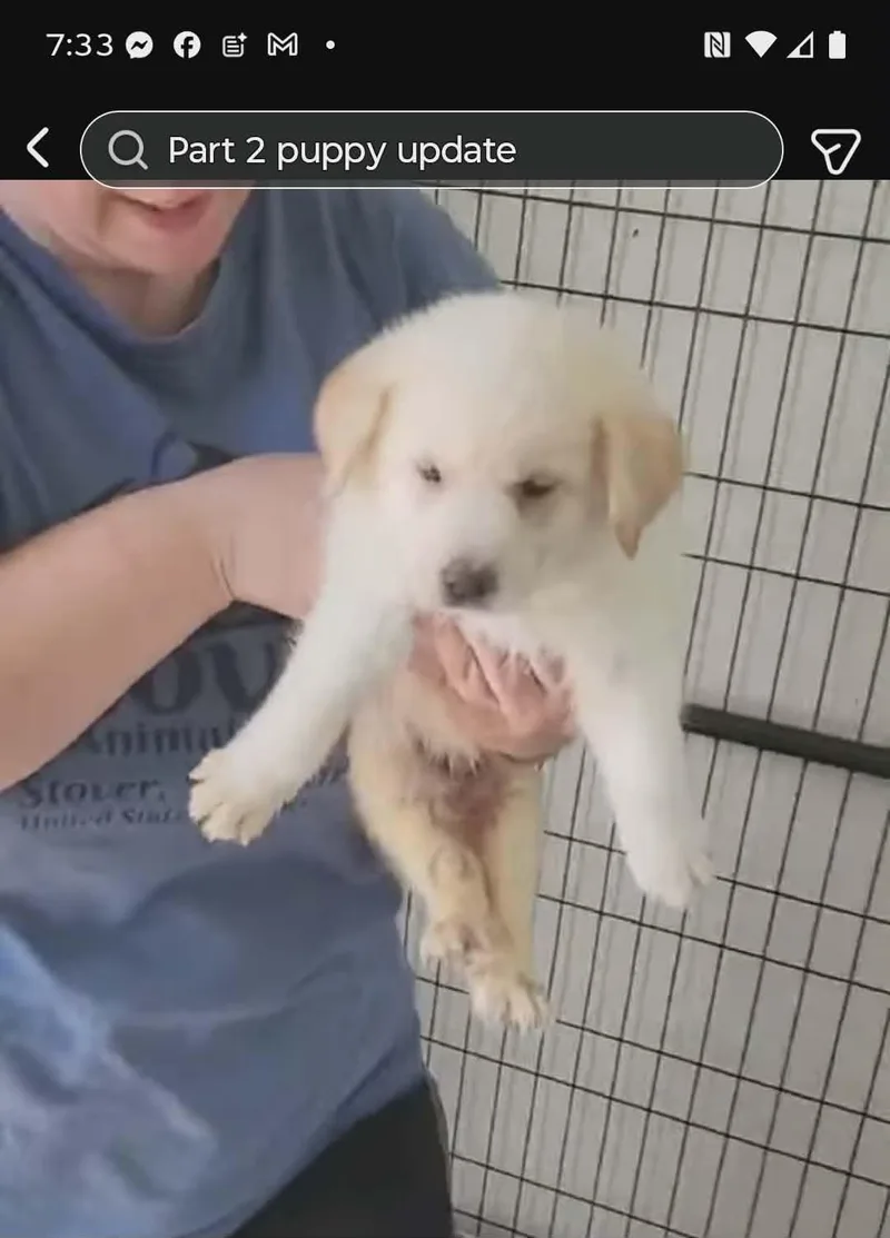 Dolly thumbnail 2