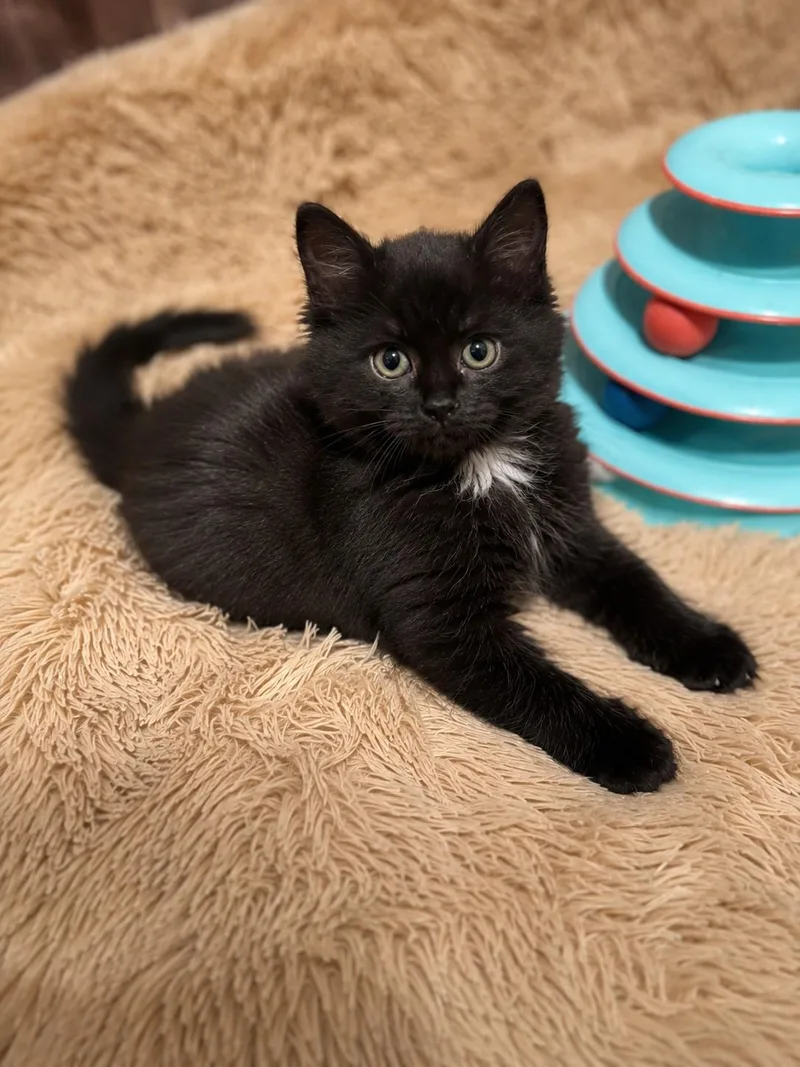 Luna