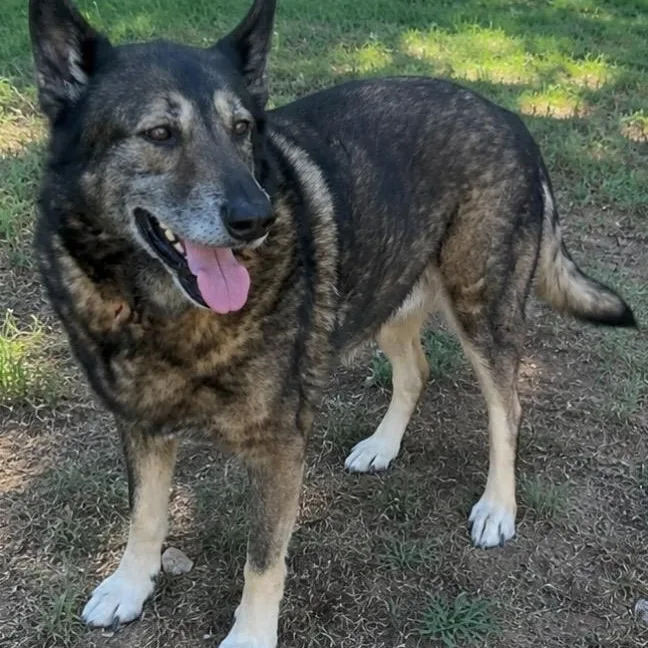 Josie