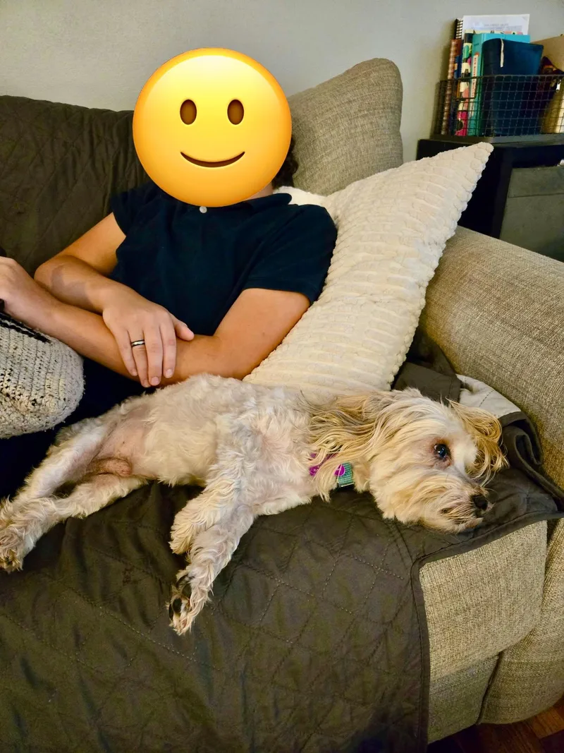 Buster Brown thumbnail 3