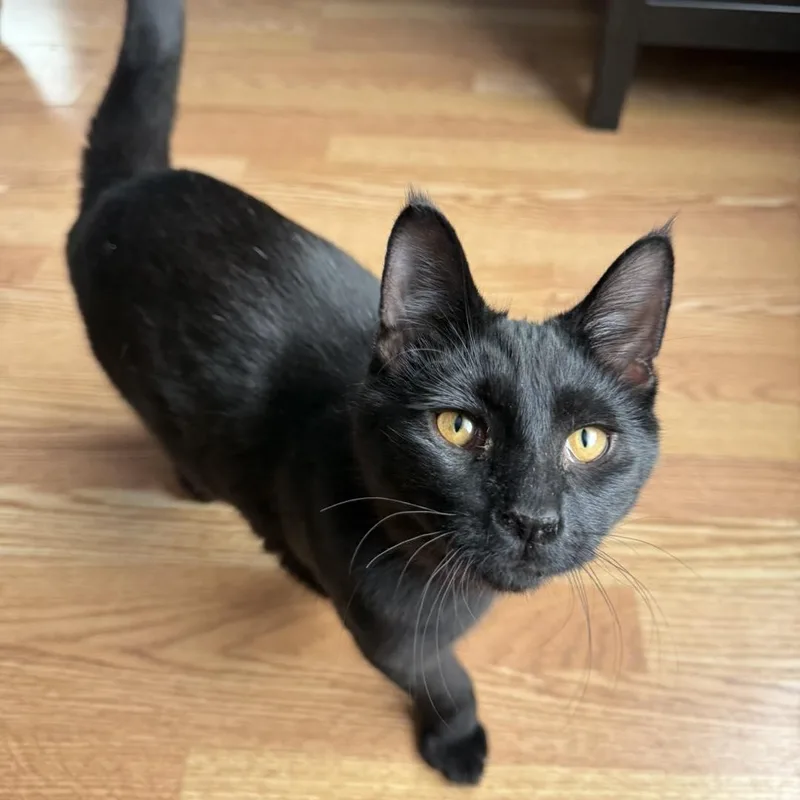 Woody And Jesse thumbnail 5