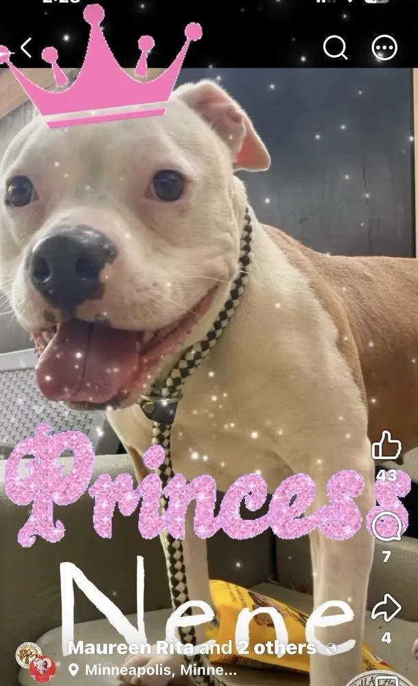 Princess Nene thumbnail 2