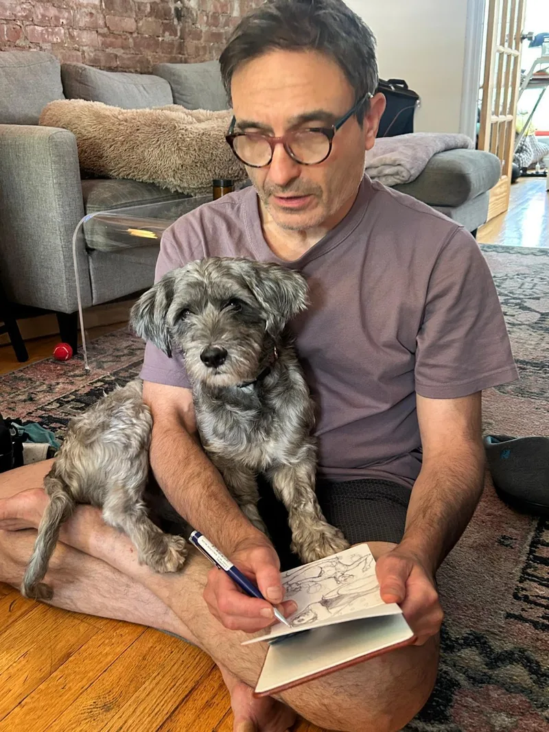 A young small-sized male Miniature Schnauzer dog named Pickles for adoption in New York, NY