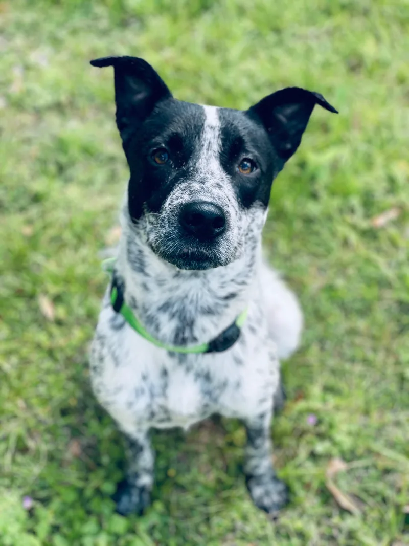 Sabrina