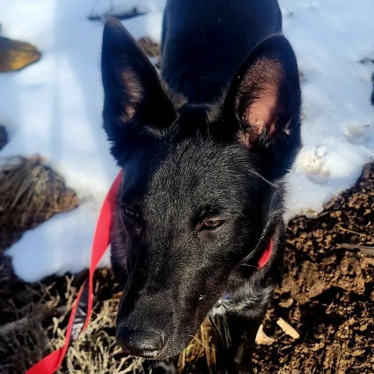 Tootsie Roll thumbnail 3