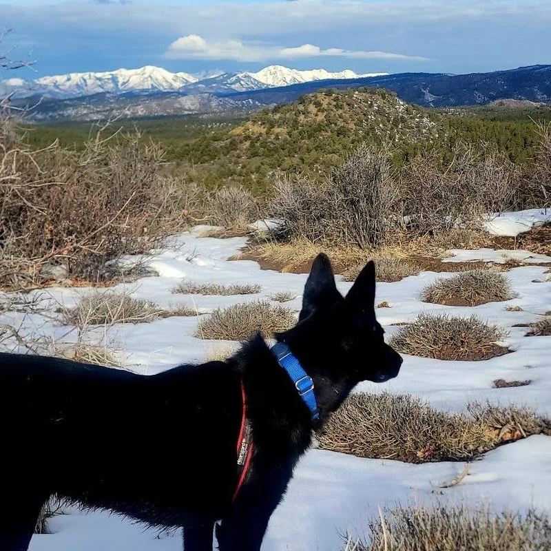 Tootsie Roll thumbnail 5