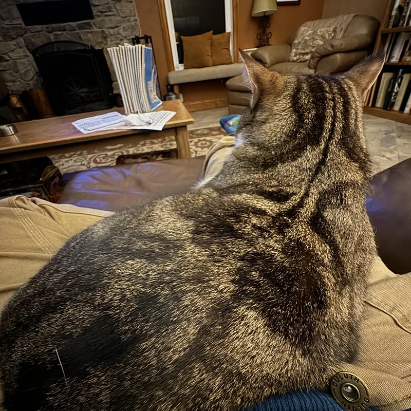 Minervaa Greek Goddess!