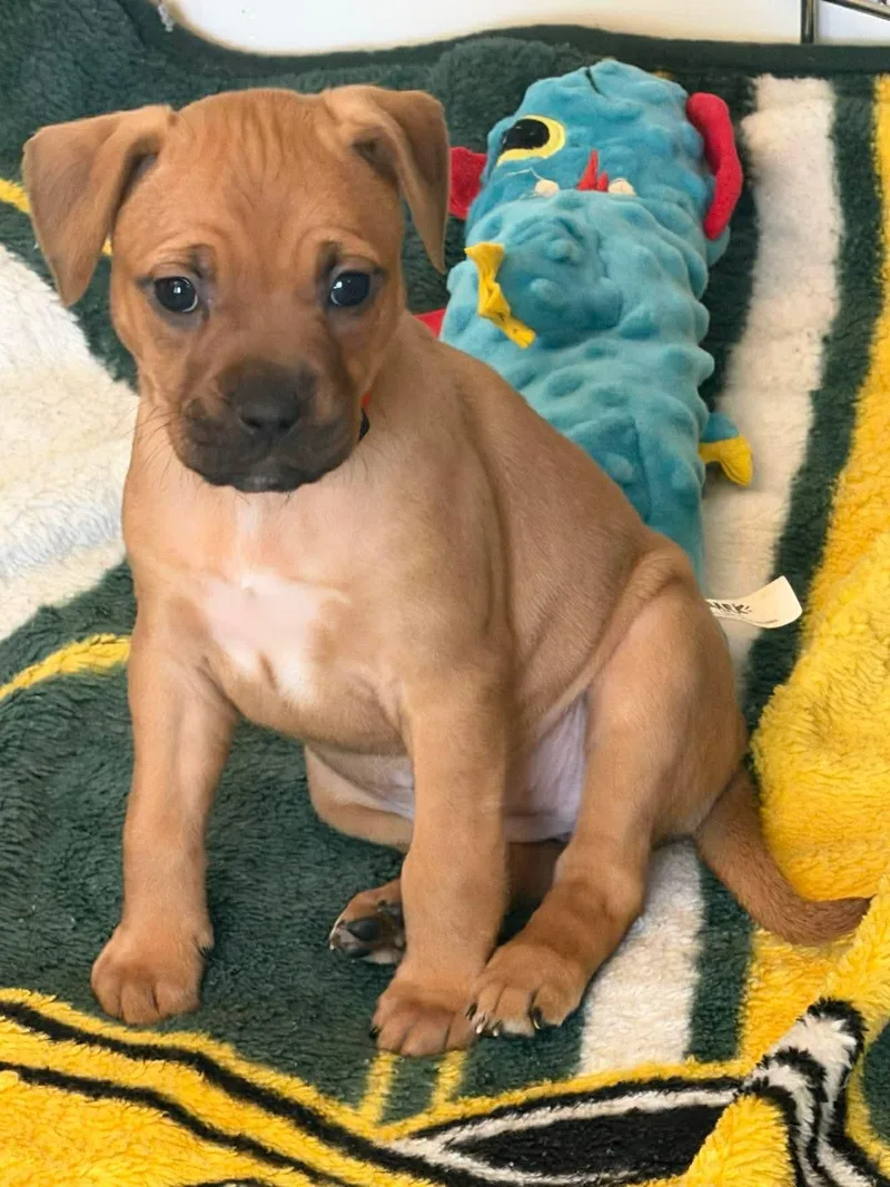 Anna Beth thumbnail 2