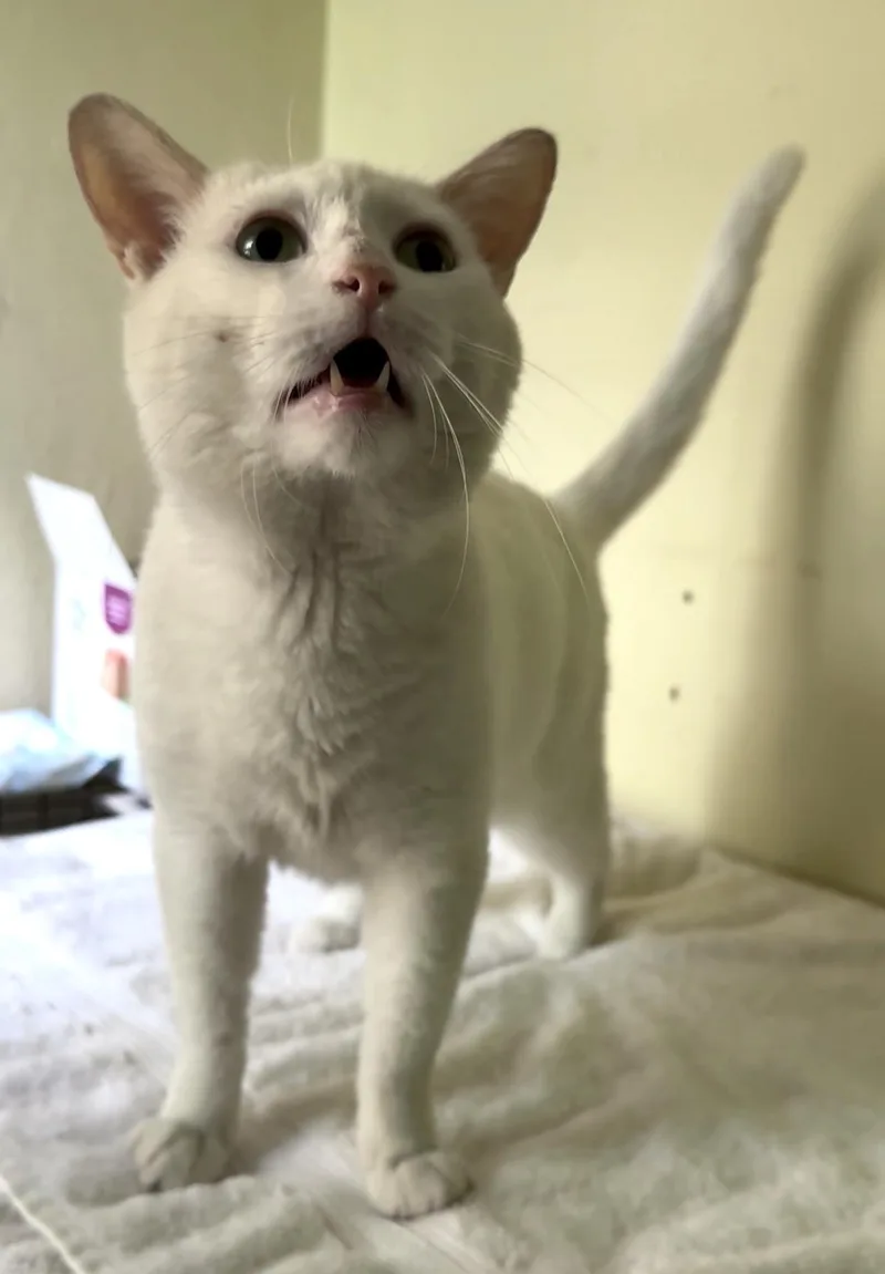 Walter White thumbnail 2