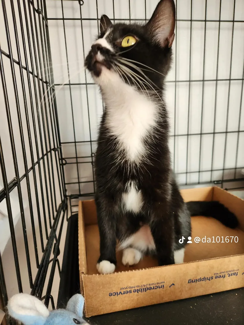 Delilahqueen Of Chill thumbnail 2