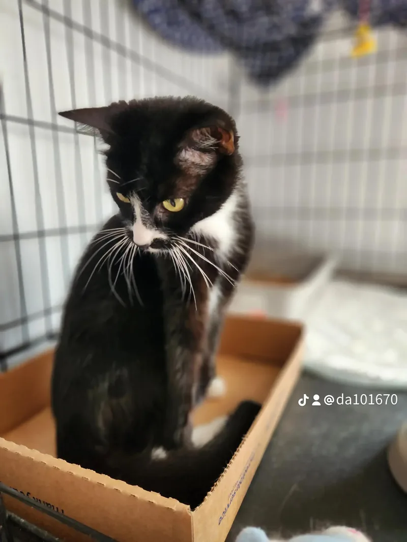 Delilahqueen Of Chill thumbnail 3