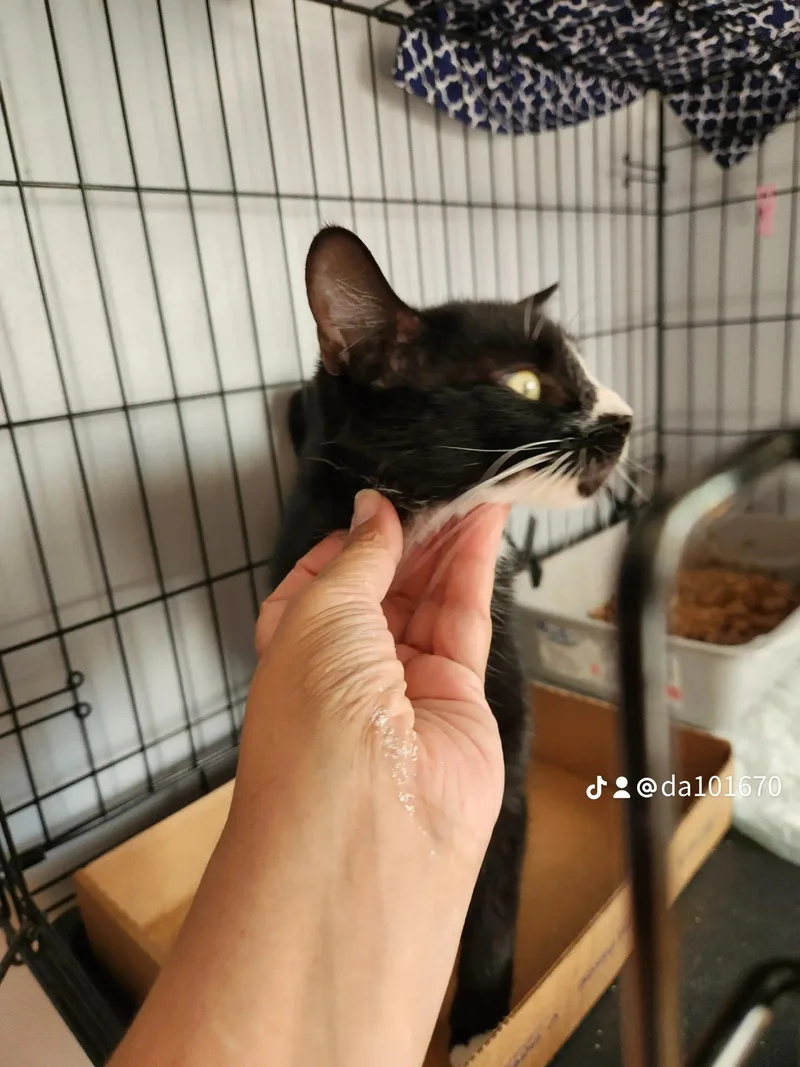 Delilahqueen Of Chill thumbnail 4