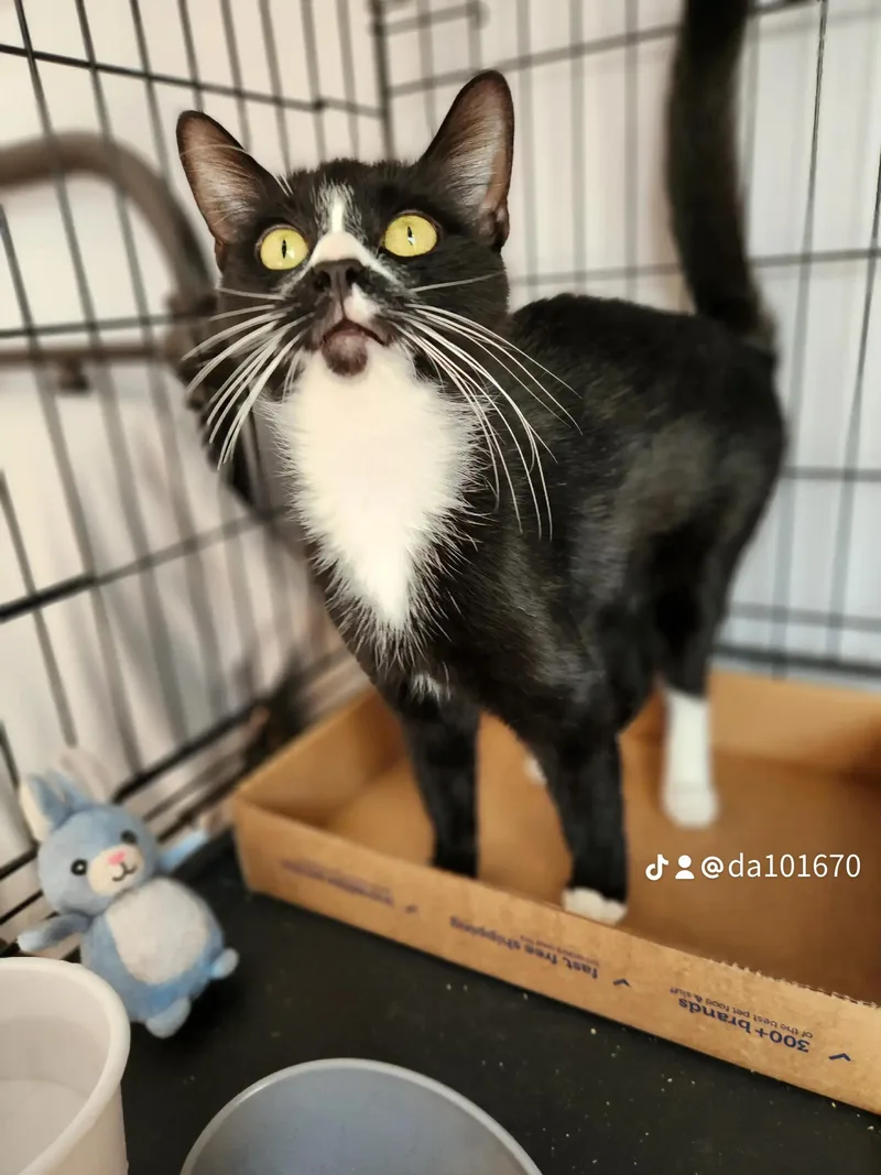 Delilahqueen Of Chill