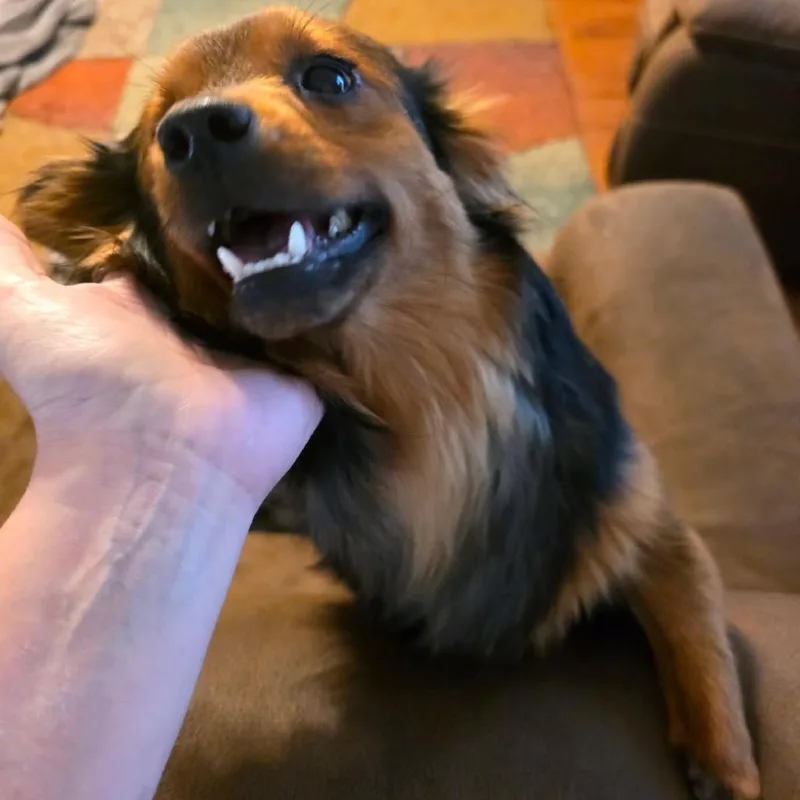 Remington thumbnail 2