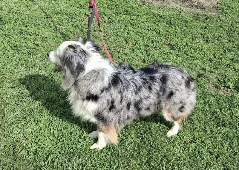 Delta Nka Sadie