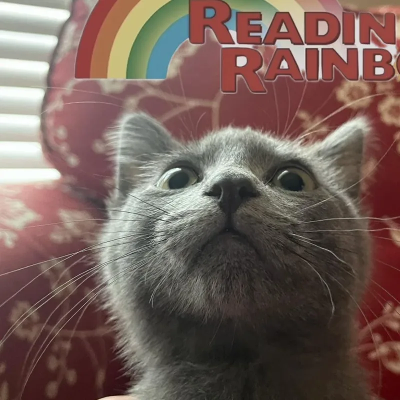 LeVar Purrton