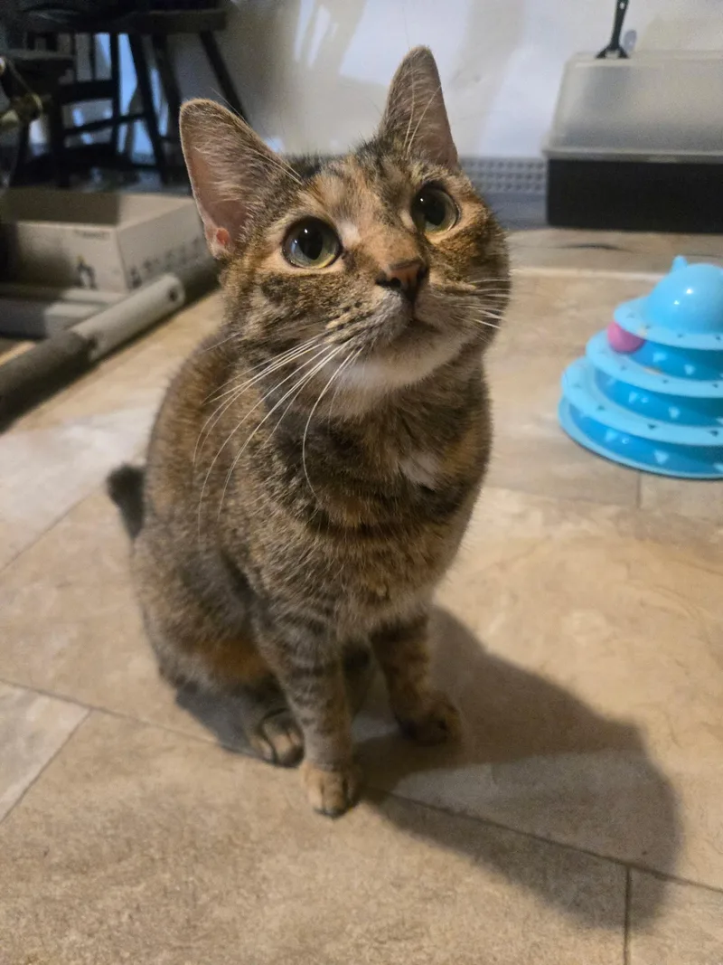 Maggie thumbnail 2