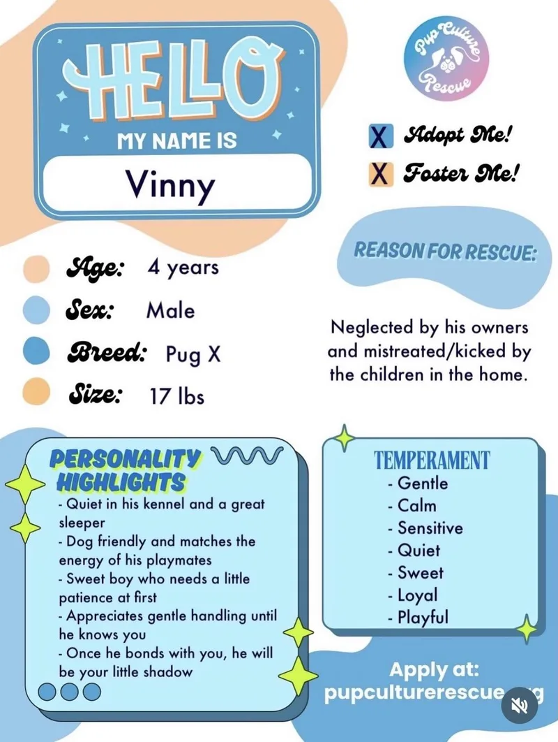 Vinny