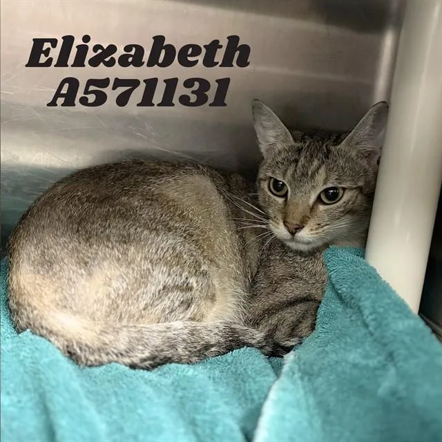 Elizabeth