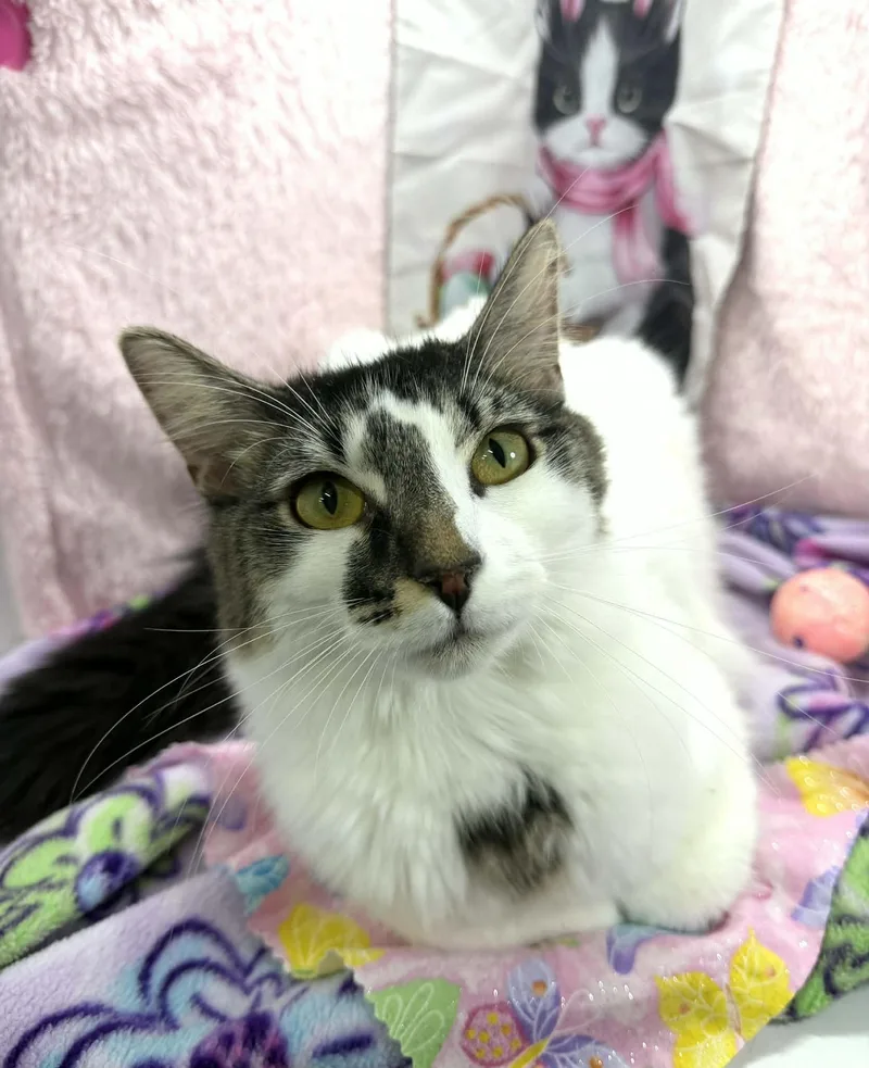 Smoosh Tush thumbnail 2