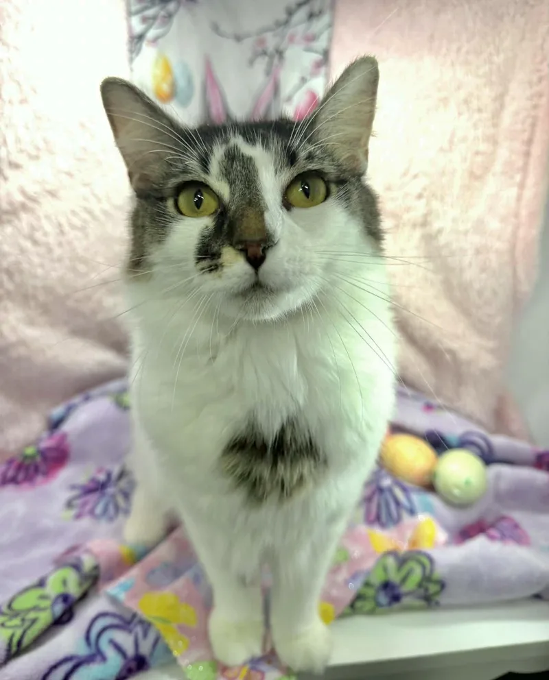 Smoosh Tush thumbnail 3