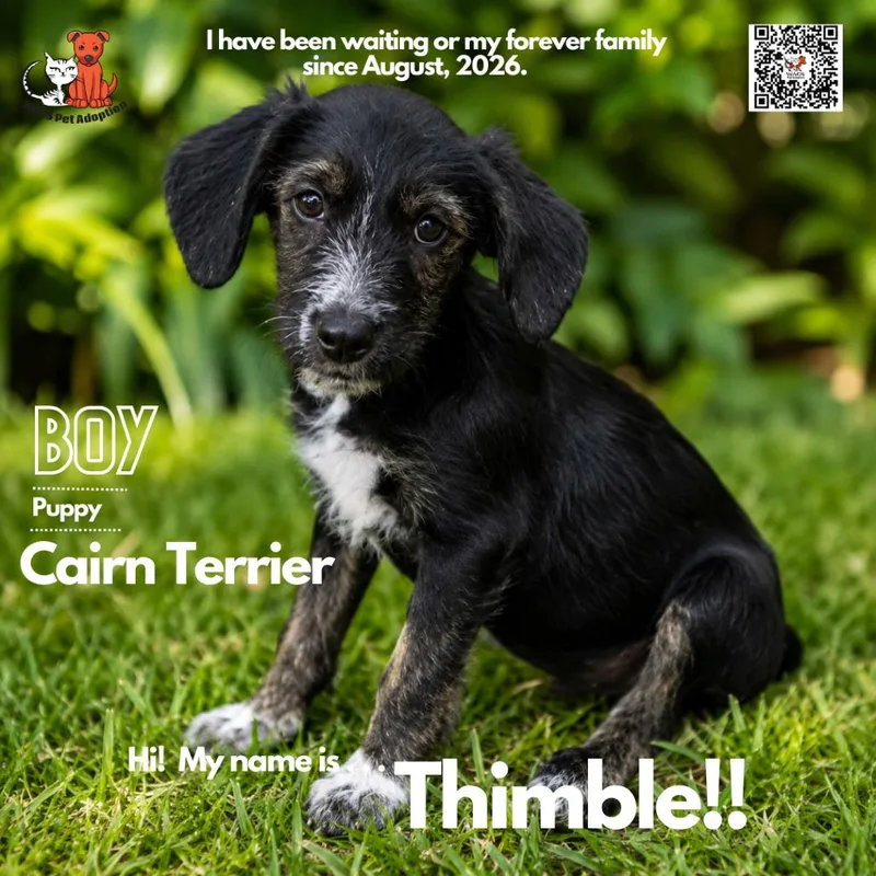 Thimble