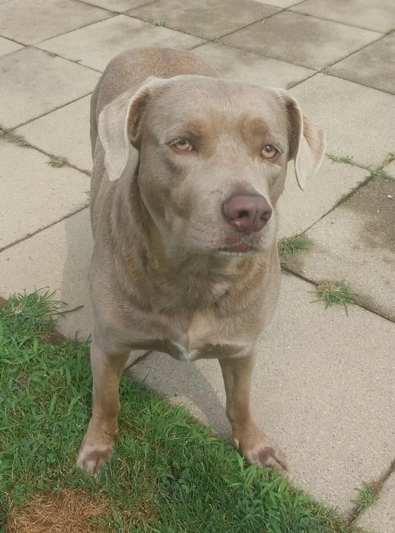 Bailey thumbnail 2