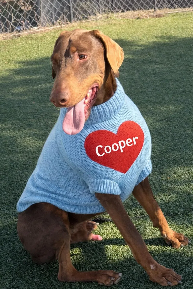 Cooper thumbnail 3