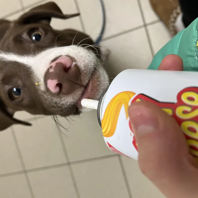 Mcnugget thumbnail 3