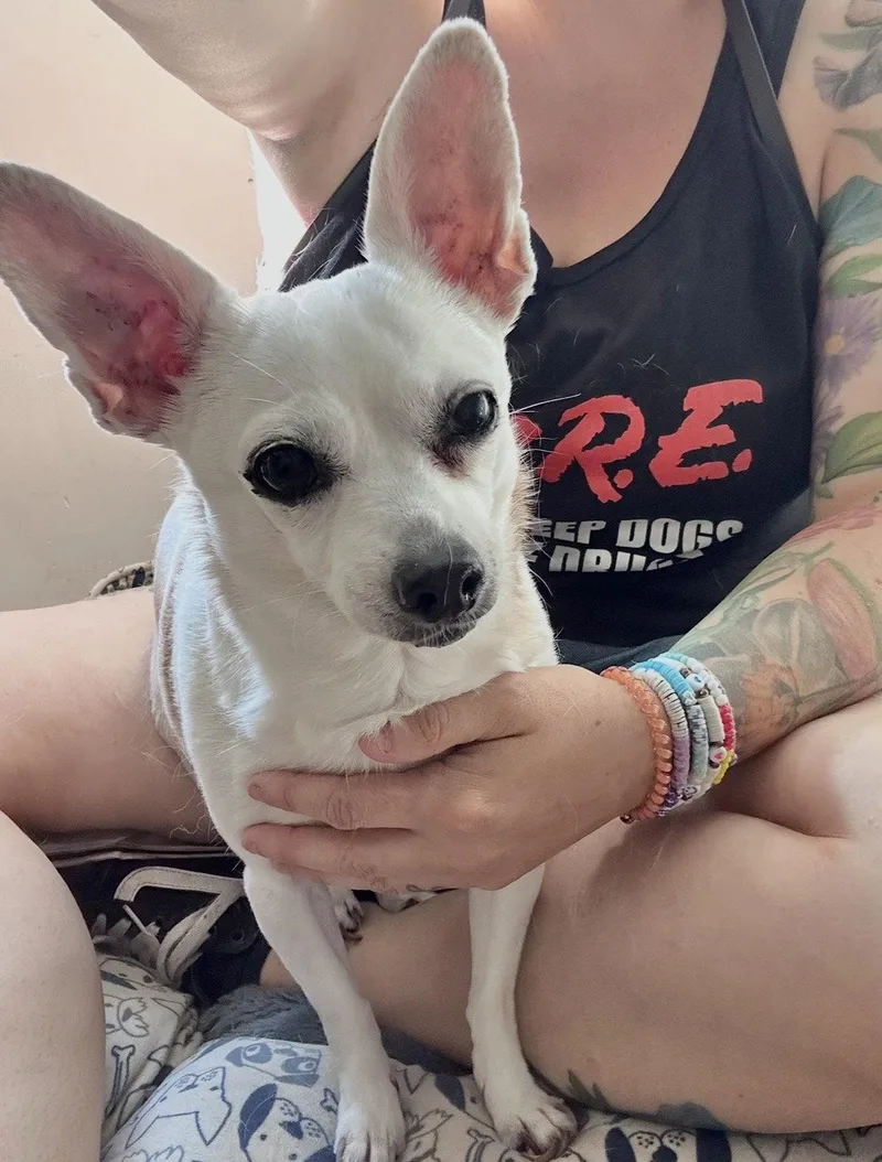 Lulu thumbnail 3