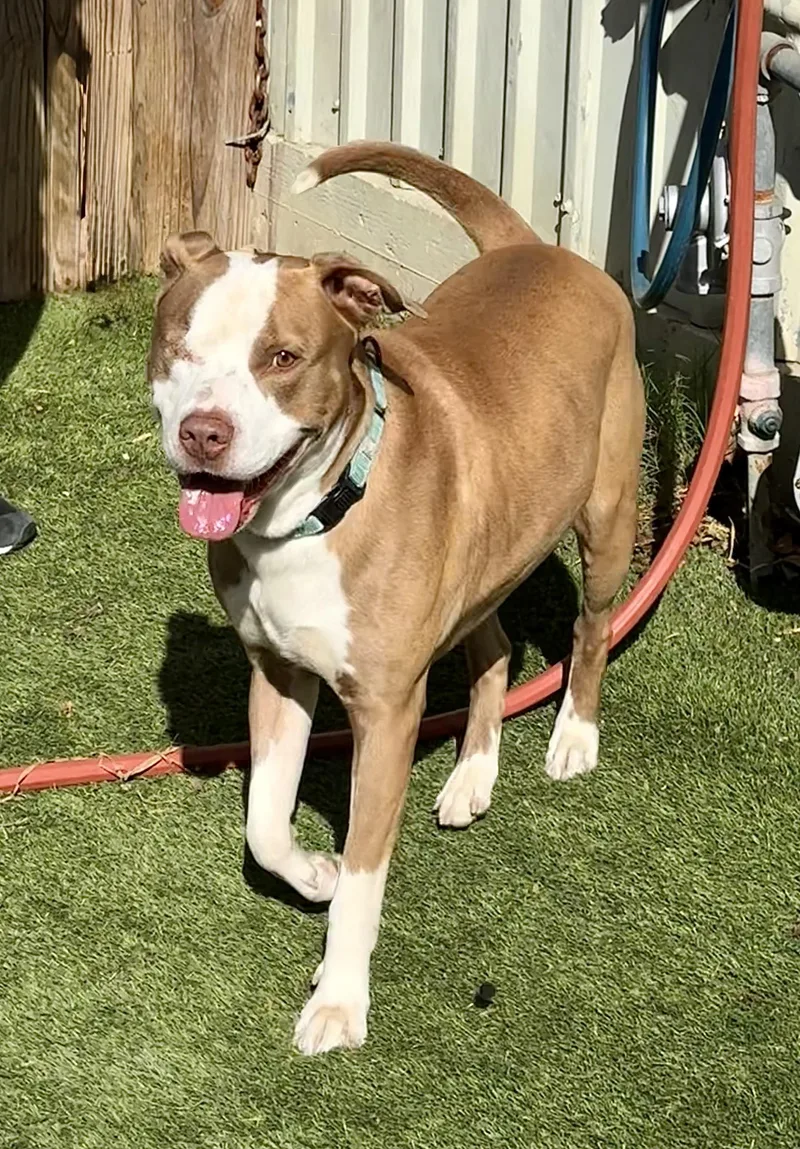 Theodore thumbnail 2