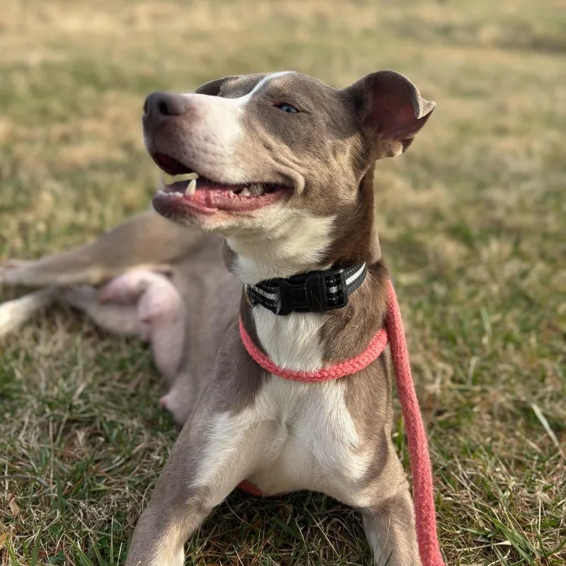 Betty Davis thumbnail 3