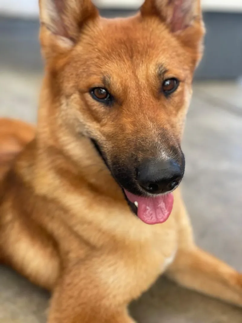 Caroline thumbnail 2