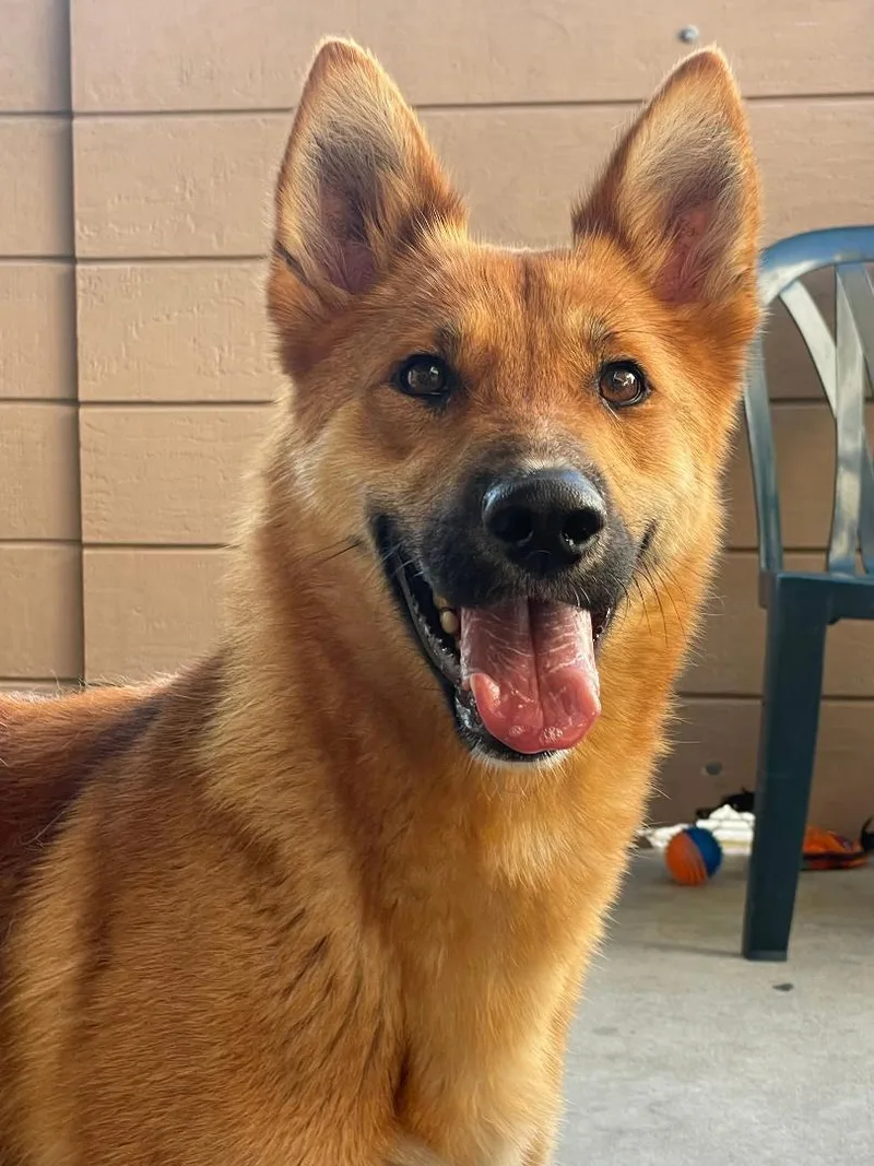 Caroline thumbnail 3