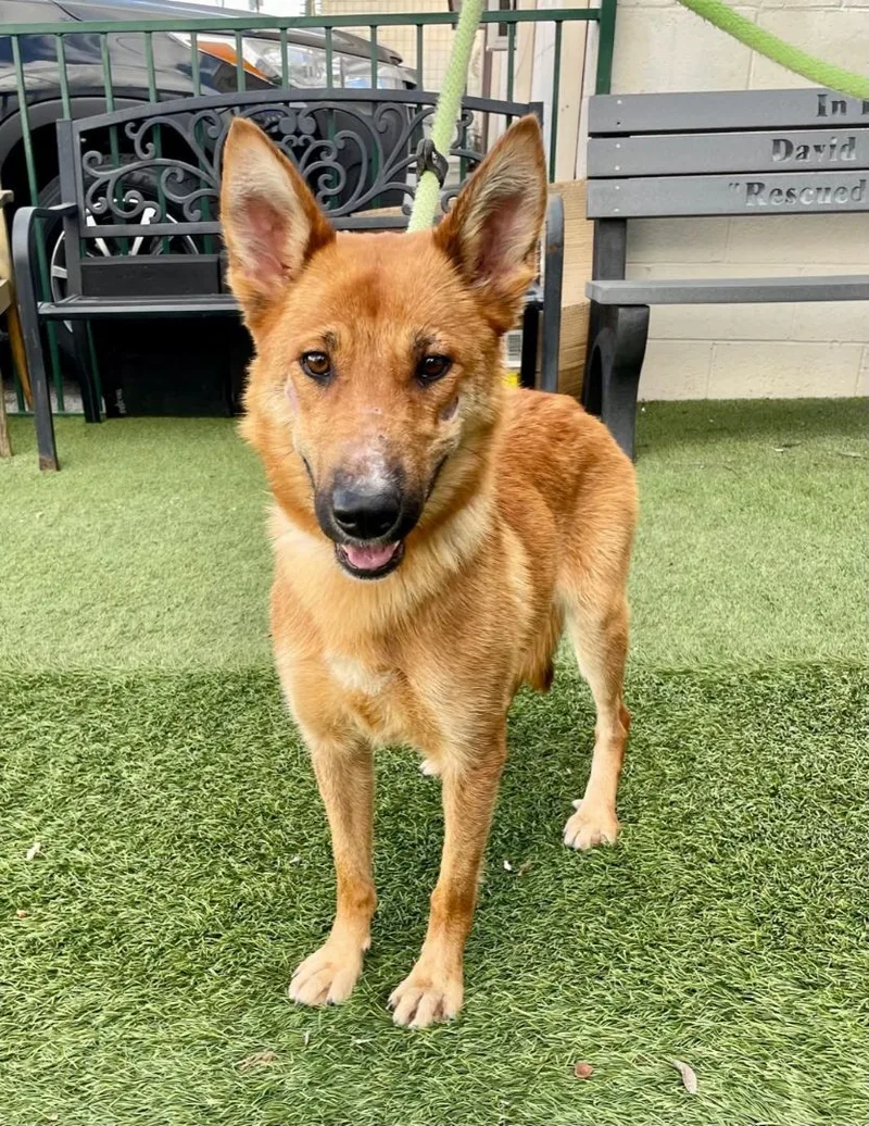 Caroline thumbnail 4