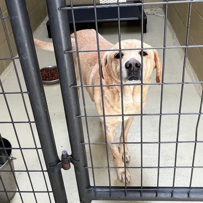 Delilah D. thumbnail 2