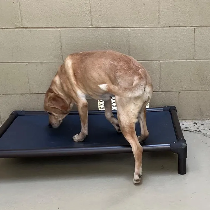 Delilah D. thumbnail 4