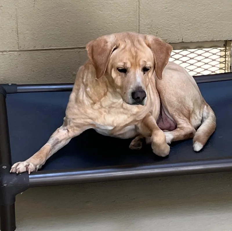 Delilah D. thumbnail 5