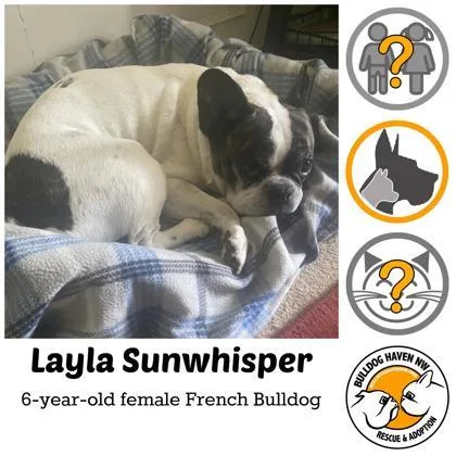 Layla Sunwhisper thumbnail 3