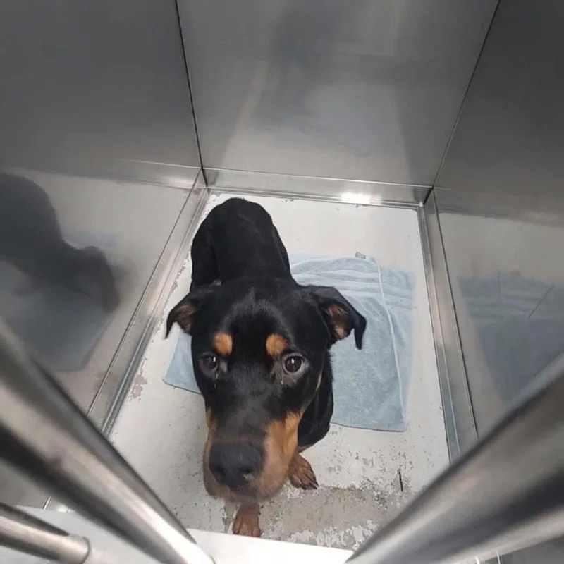 James William Bottomtooth