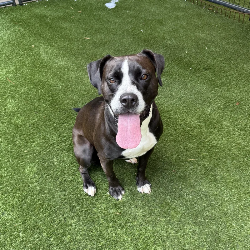 Samantha thumbnail 2