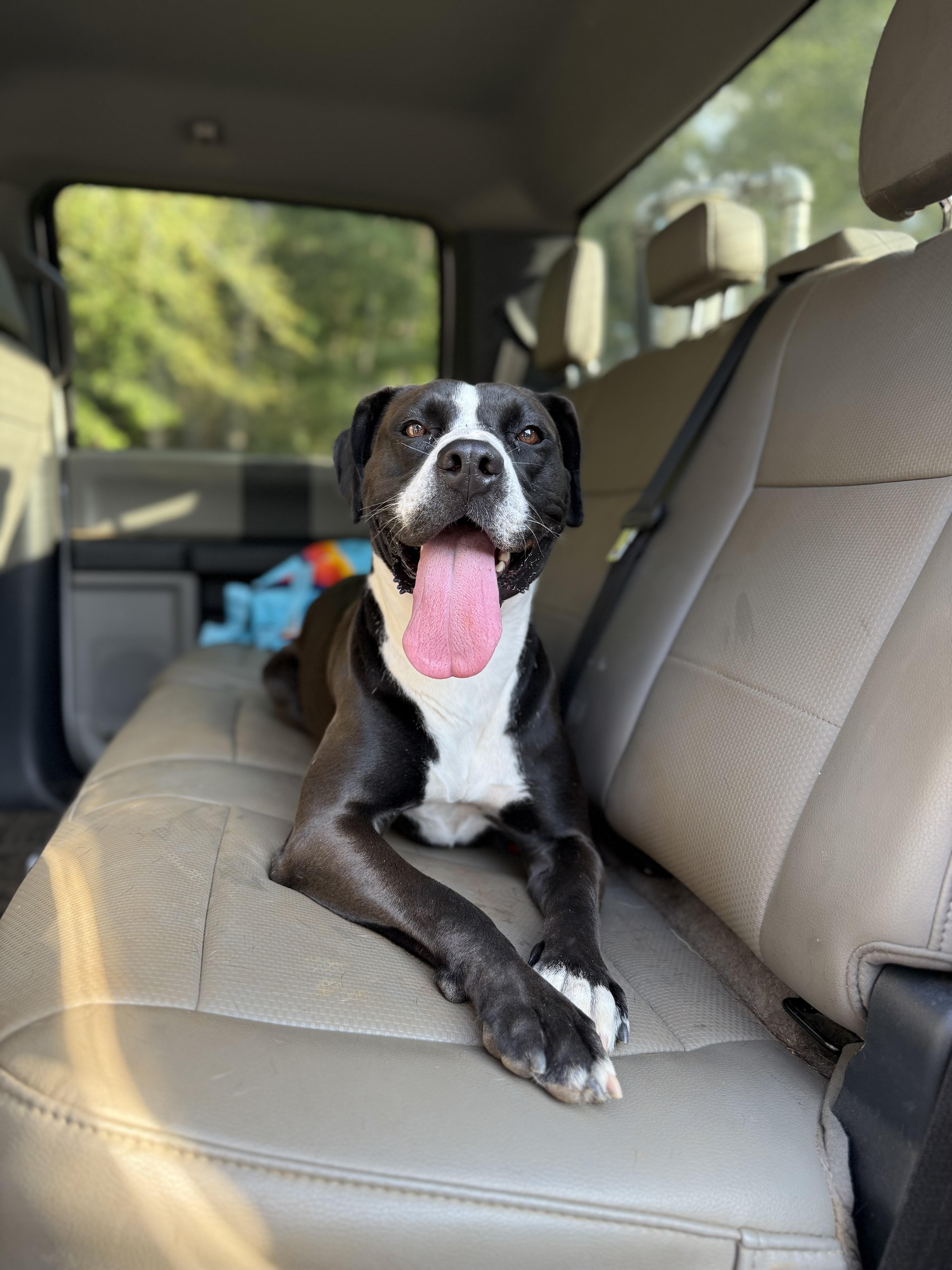 Samantha thumbnail 3