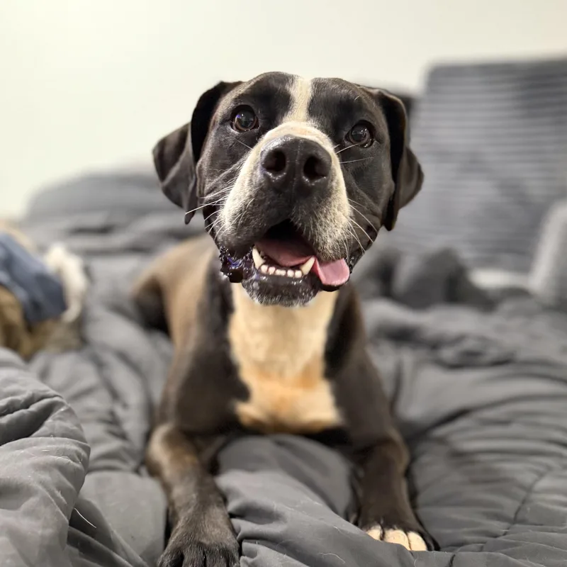 Samantha thumbnail 5