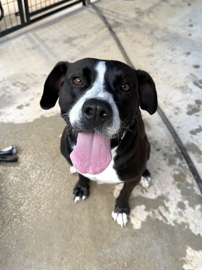 Samantha thumbnail 6