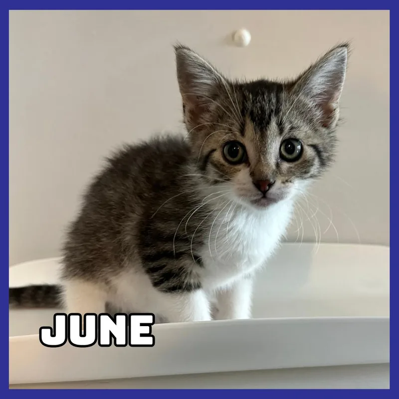 June